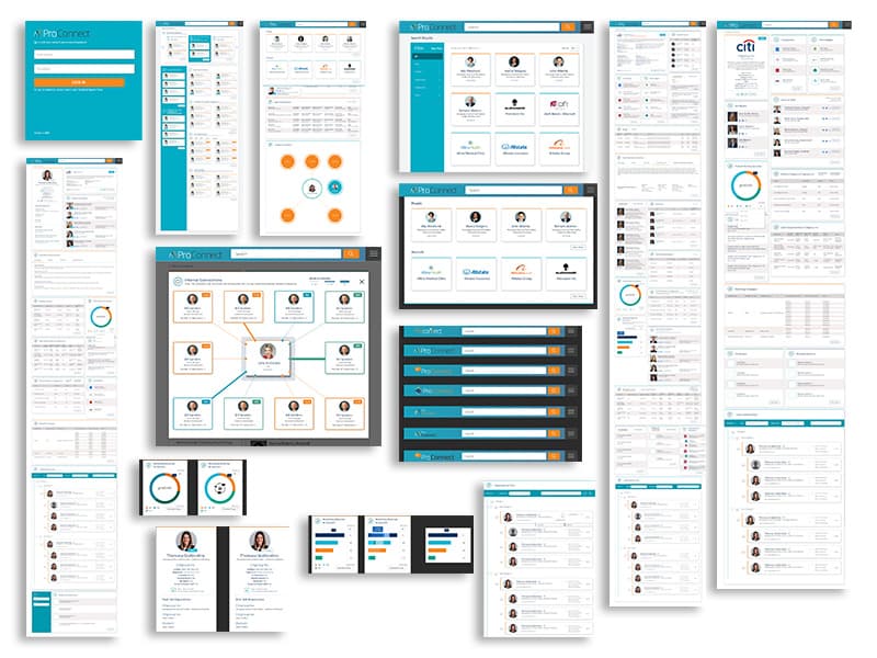 Protiviti - ProConnect