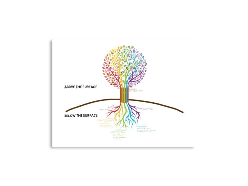 SuperValu Grocery - Training Animation